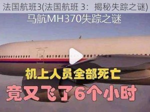 法国航班3(法国航班 3：揭秘失踪之谜)