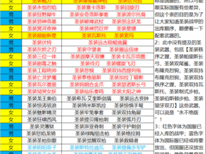 星际战甲新手入门攻略：圣装武器选择与运用指南