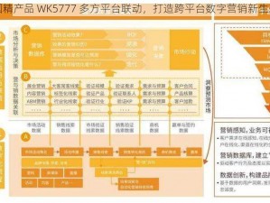 国精产品 WK5777 多方平台联动，打造跨平台数字营销新生态