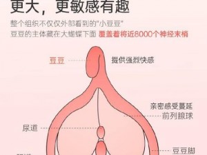 最新研发，用嘴伺候公主高潮失禁训练器，让你体验极致快感