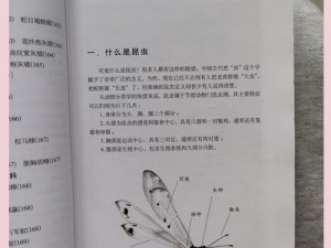 四季昆虫探秘：捕捉地点大揭秘昆虫踪迹追踪指南