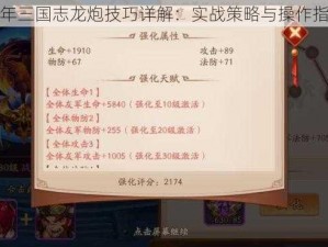 少年三国志龙炮技巧详解：实战策略与操作指南