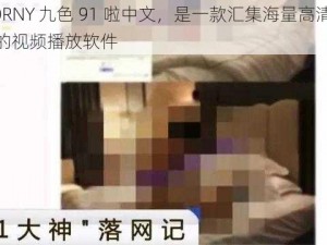 91PORNY 九色 91 啦中文，是一款汇集海量高清视频资源的视频播放软件