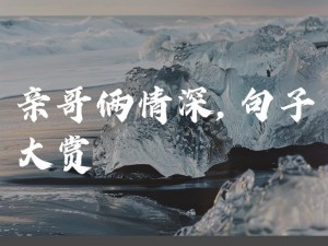 哥俩情深瞬间截图预览：真挚情谊的生动展现