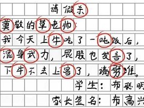 汉字找茬王：空耳错别字挑战，70个错别字一网打尽的超全攻略指南