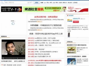 同性 Gay 免费网战：打造纯净网络环境