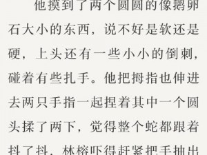 男男巨肉各种play 小说，让你欲罢不能的精彩故事