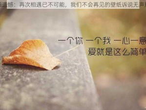 永恒遗憾：再次相遇已不可能，我们不会再见的壁纸诉说无声别离