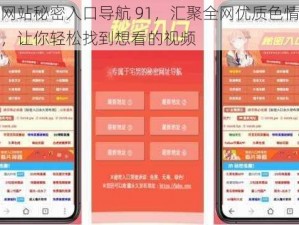 黄网站秘密入口导航 91，汇聚全网优质色情资源，让你轻松找到想看的视频