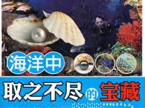 海之勇士珍珠金币：探索海洋深处的勇气与荣耀之宝藏