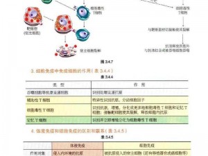 万象物语中的特殊免疫状态详解：探索几种独特免疫机制的特点与功能