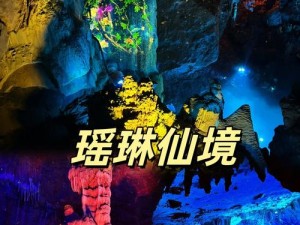 可以直接进入的网站仙踪林—仙踪林入口：直接进入的神秘世界