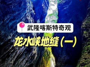 宝藏世界的顶级巨龙：探索获取最佳宠龙的神秘之旅