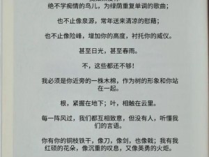 舒婷的爱情故事 2：朦胧诗后的浪漫爱情