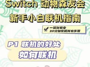 动物森友会联机游戏详解：联机必要性及联机方法指南