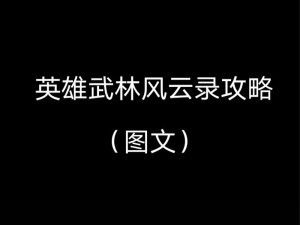 武林风云路：深度解析反伤反噬流进阶攻略，英雄传记篇章揭秘