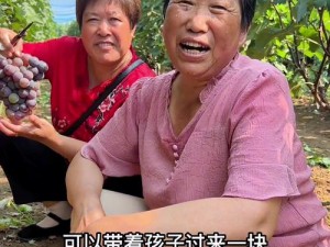 该视频产品主要包含国产老妇伦、国产熟女老妇等内容，为用户提供精彩的视频体验