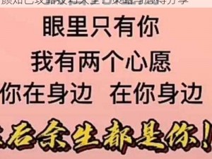 叫我官老爷中的红颜知己名字变更指南及红颜知己攻略技巧大全：策略与心得分享