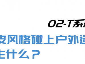 海外看 B 站，掀起新潮流