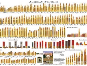夜色镇弹药采购指南：探索弹药购买渠道与注意事项