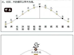 长生诀七幅图之属性揭秘：探寻神秘长生奥秘的七大属性解析