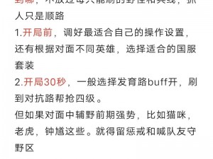 王者荣耀边路战术深度解析：从英雄选择到对战策略的全面思路详解