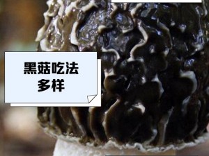 蘑菇永利黑料网曝门黑料_蘑菇永利黑料网曝门：深挖背后的秘密