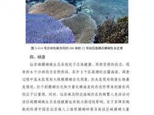 获取珊瑚岛树脂的实用方法——探秘海岛天然资源的利用之道