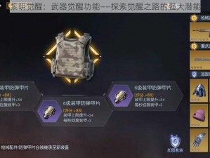 黎明觉醒：武器觉醒功能——探索觉醒之路的强大潜能