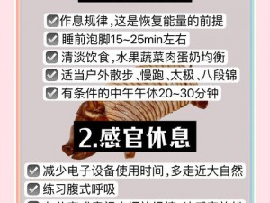 当团练疲劳度达到100%时，如何迅速恢复活力与精力——实战恢复策略分享