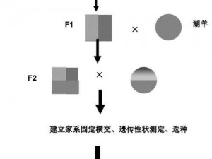 人类与禽类的交配受精产品介绍