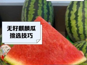 小明的妈妈和李阿姨在同一家水果店，发现了超甜的海南无籽麒麟瓜