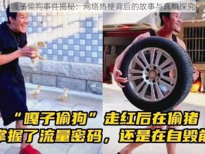 嘎子偷狗事件揭秘：网络热梗背后的故事与真相探究