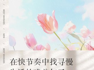 慢节奏生活探索：好玩吗？领略慢慢生活的惬意与魅力