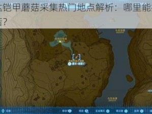 塞尔达铠甲蘑菇采集热门地点解析：哪里能找到更多蘑菇？