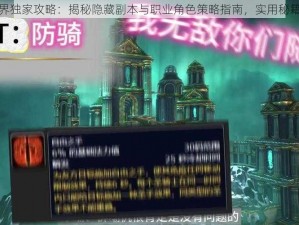 魔兽世界独家攻略：揭秘隐藏副本与职业角色策略指南，实用秘籍大解密