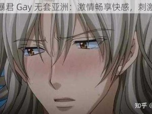 男男暴君 Gay 无套亚洲：激情畅享快感，刺激无限