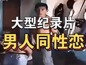 同性男男黄 Gary 片免费，高清画质，精彩内容，满足你的视觉需求