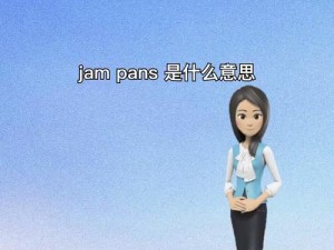 janpense+visa(janpense+visa 真的有那么重要吗？)