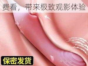 欧美高潮喷水抽搐啊片免费看，带来极致观影体验