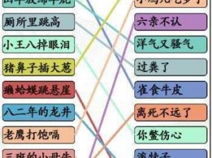 关于《汉字找茬王》连歇后语攻略的实用探索与解析