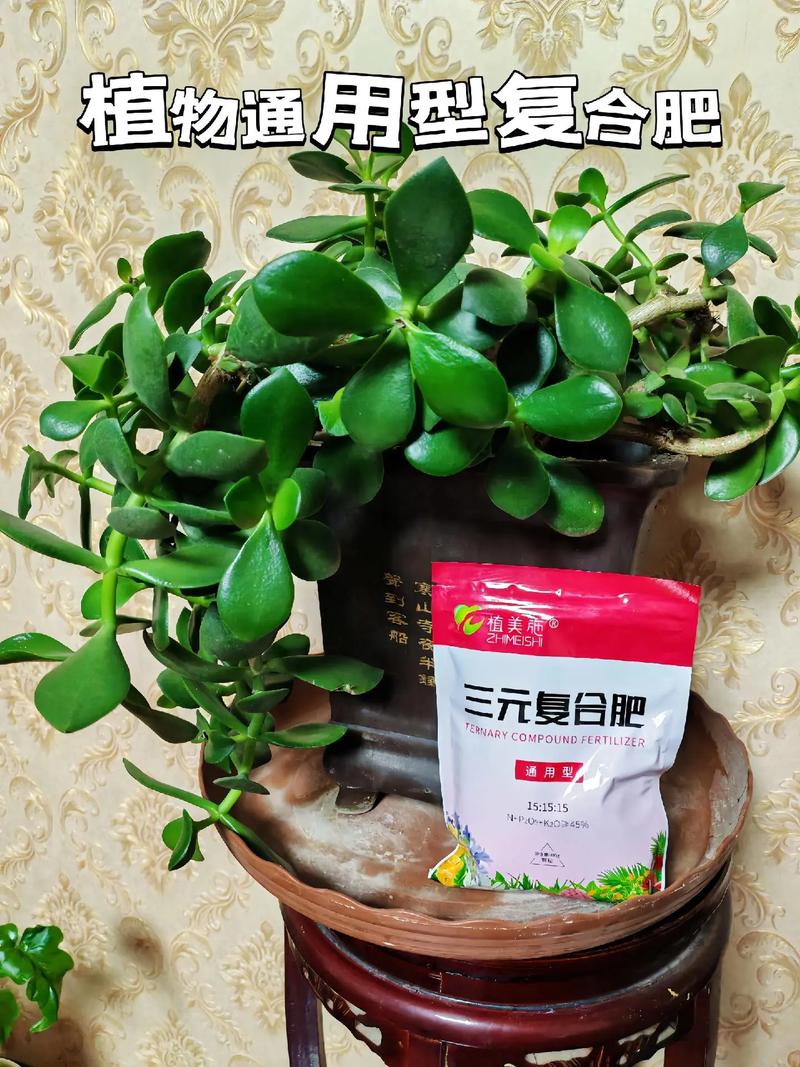 乌兰图雅牌 B 肥,绿色环保,高效持久,让你的植物茁壮成长