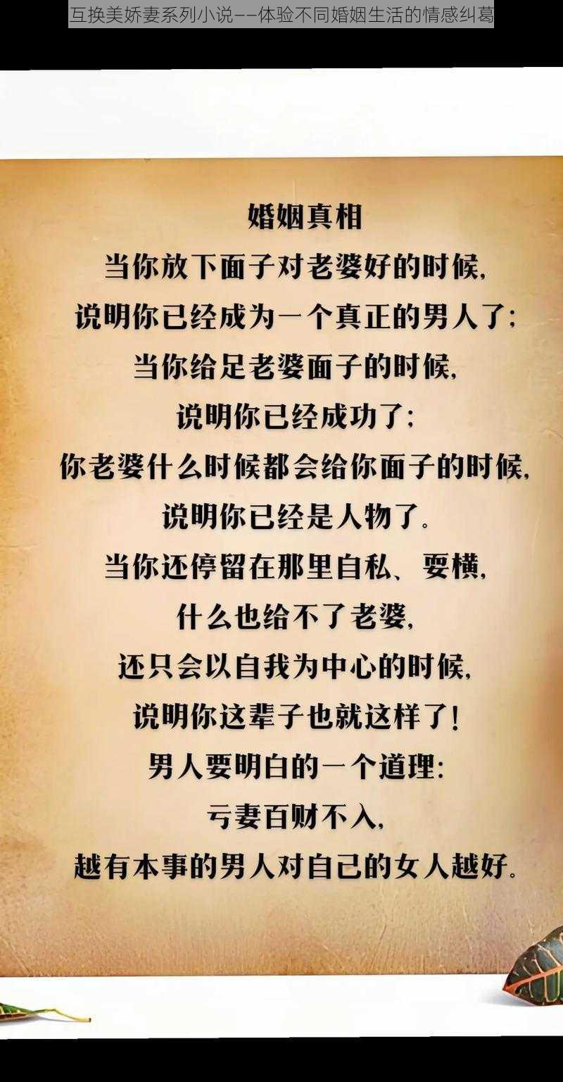 互换美娇妻系列小说——体验不同婚姻生活的情感纠葛