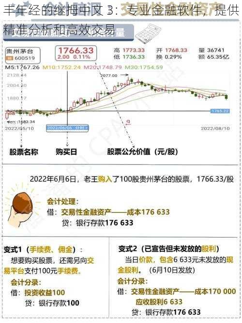 丰年经的继拇中文 3：专业金融软件，提供精准分析和高效交易