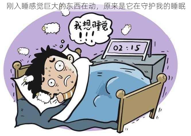 刚入睡感觉巨大的东西在动，原来是它在守护我的睡眠