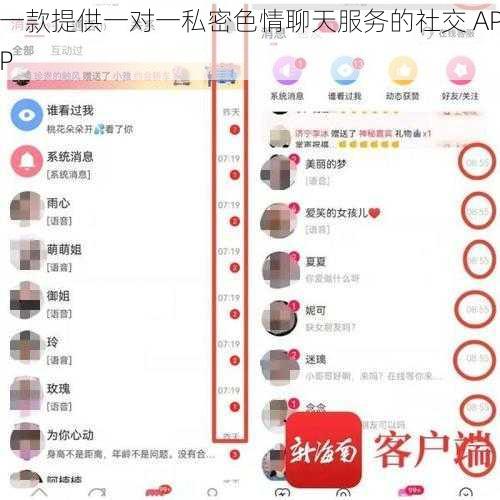 一款提供一对一私密色情聊天服务的社交 APP