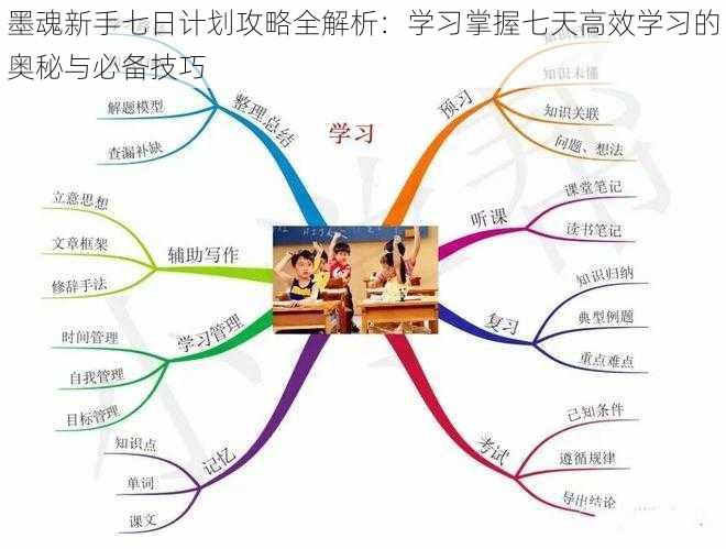 墨魂新手七日计划攻略全解析：学习掌握七天高效学习的奥秘与必备技巧