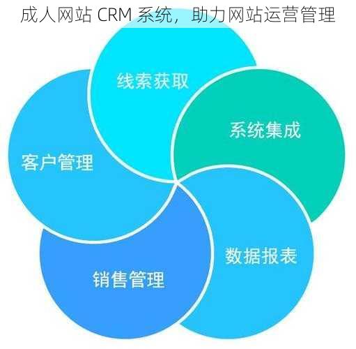 成人网站 CRM 系统，助力网站运营管理