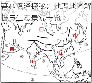 暮雾沼泽探秘：地理地图解析与生态景观一览