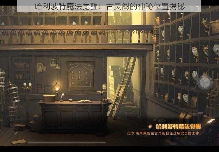 哈利波特魔法觉醒：古灵阁的神秘位置揭秘